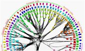 IBM SyNAPSE ordinateur humain