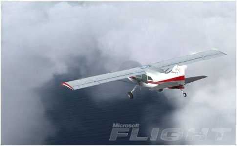 Flight Microsoft