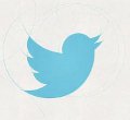 Twitter logo larry bird